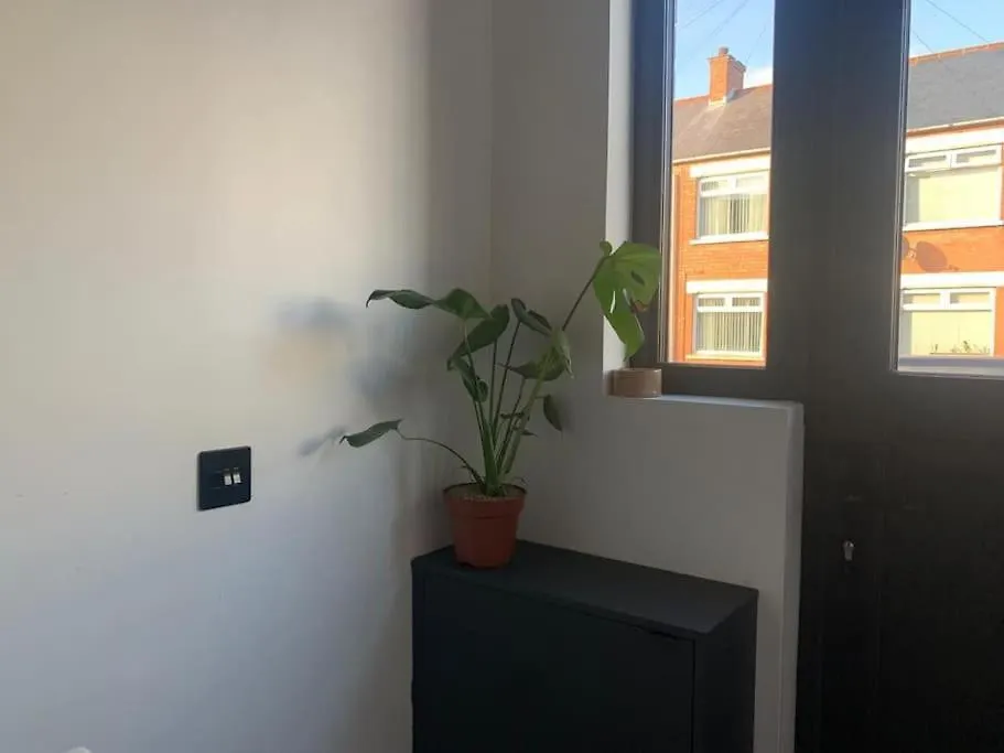 Oasis By Black Dove Design Belfast 0*,